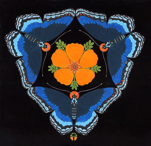 Full color print of brushfoot butterflies and arizona summer poppy measures 7.5" x 7.5" plus a 2.25" white border. Black frame with glass, measures 12" x 12".