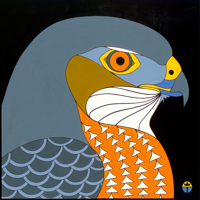 Wil Taylor: "Cooper's Hawk"