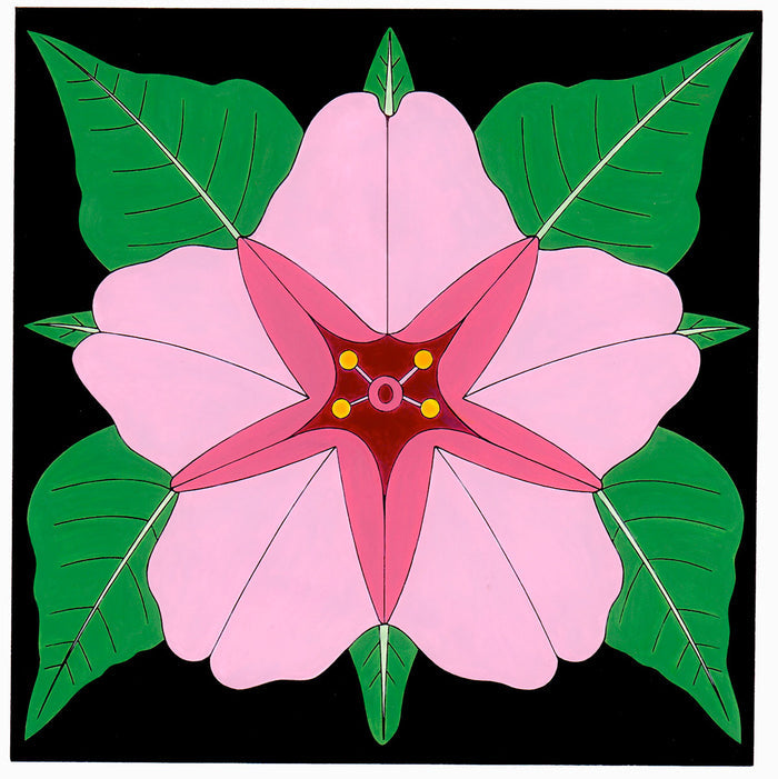 Full color print of desert four o'clock blossom measures 8" x 8" plus a 2" white border. Black frame with glass, measures 12" x 12" total.