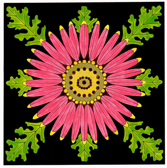 Full color print of firewheel flower measures 7.5" x 7.5" plus a 2.25" white border. Black frame with glass, measures 12" x 12".