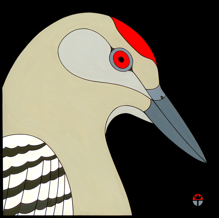 Wil Taylor: "Gila Woodpecker"