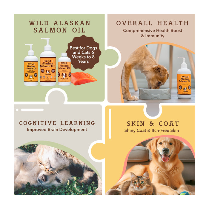 Puzzle-style infographic featuring Wild Alaskan Salmon Oil for pets. Sections highlight benefits: overall health, cognitive learning, and skin &amp; coat. Images of pets eating and playing. Bottles and a salmon slice are displayed.