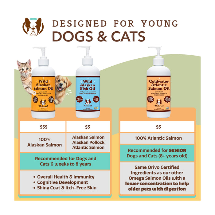Infographic comparing pet oils: Wild Alaskan Salmon Oil and Fish Oil for young pets, and Coldwater Atlantic Salmon Oil for senior pets. Each product highlights health benefits like immunity and cognitive development, and is illustrated with pet images.
