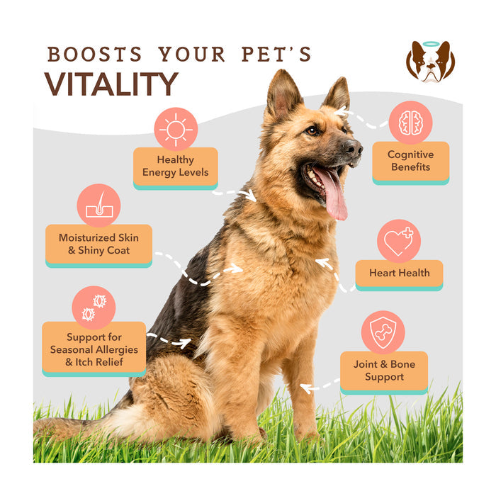 A German Shepherd sits on grass. Around it are graphics highlighting benefits for pets: healthy energy levels, cognitive benefits, moisturized skin and coat, heart health, joint and bone support, and seasonal allergy relief. Top text reads "Boosts Your Pet’s Vitality.