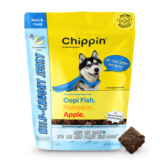 Package of Chippin Wild-Caught Fish & Pumpkin Dog Treats for dogs, featuring a husky in a blue cape. Flavored with Copi Fish, Pumpkin, and Apple rich in omega-3s, this eco-friendly 5 oz (144g) package supports sustainable fishing and local fishermen.