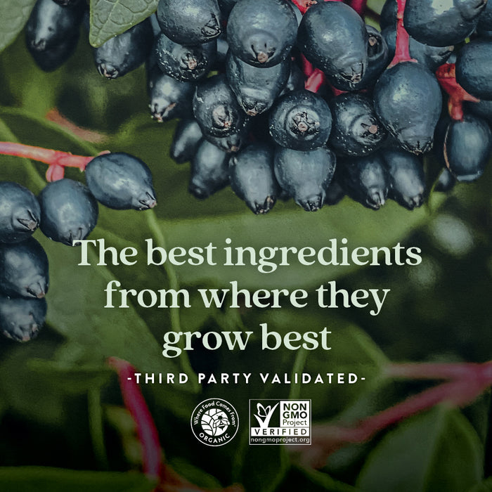 Close-up of dark berries on branches with green leaves. Text: “New Chapter Womens Multivitamin Gummies—nutrient packed, less sugar, berry citrus flavor. Sourced where ingredients grow best and third-party validated.” Organic, non-GMO logos below.