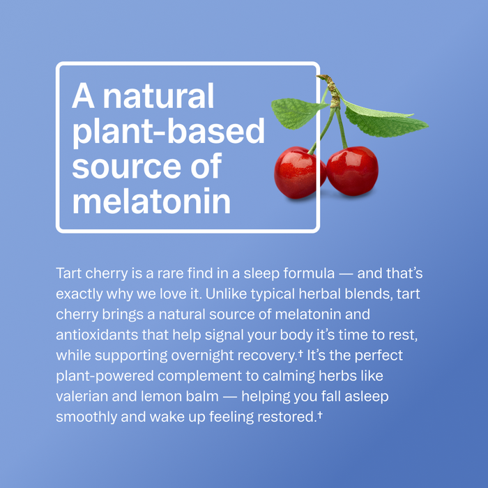 A graphic with two organic tart cherries and text highlighting You're a Knockout by Ora Organic as a rare, natural plant-based source of melatonin for sleep support and overnight recovery. Blue background, white text box, leafy accents.